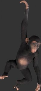 Hanging Monkey 3 ft. / Fiberglass