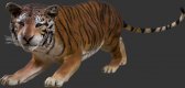 Bengal Tiger / Fiberglass Bengal Tiger / Fiberglass