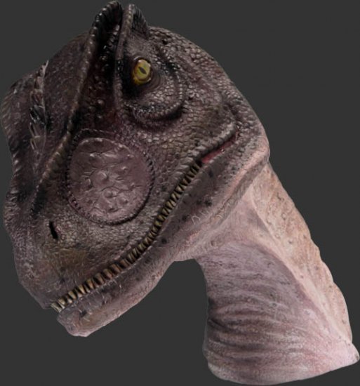 Allosaurus Head / Fiberglass - Click Image to Close