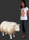 Texelaar Ewe Sheep - Head Up / Fiberglass