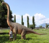 Brachiosaurus 15.5 Ft. Brachiosaurus 15.5 Ft.