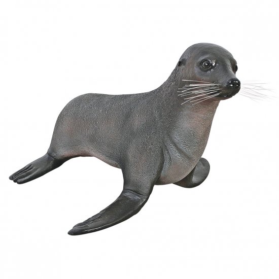 Baby Fur Seal / Fiberglass - Click Image to Close