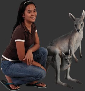 Kangaroo with Joey 3ft.