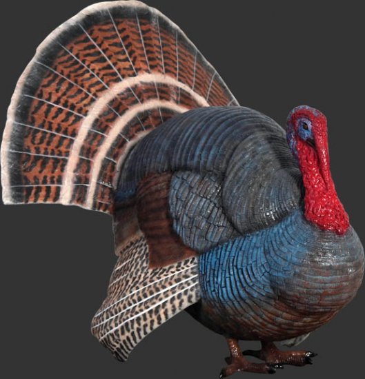 Wild Turkey / Fiberglass - Click Image to Close