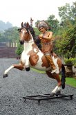 Indian Warrior Chief Indian Warrior Chief