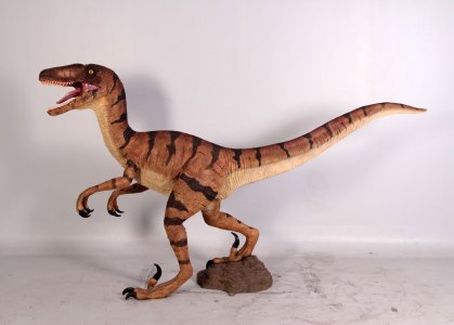 Velociraptor 5 ft.