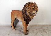 Lion King Lion King