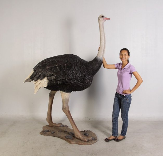 Ostrich Statue