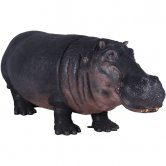 Hippopotamus - New Hippopotamus - New