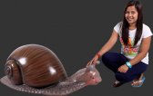 Giant Garden Snail Giant Garden Snail