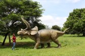 Giant Triceratops