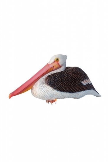 Pelican Sitting - Click Image to Close