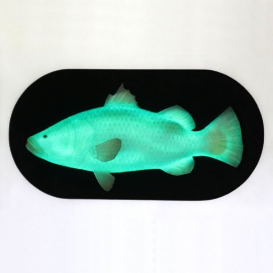 Wall Decor Fish with LED - Click Image to Close
