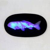 Wall Decor Koi with LED Wall Decor Koi with LED