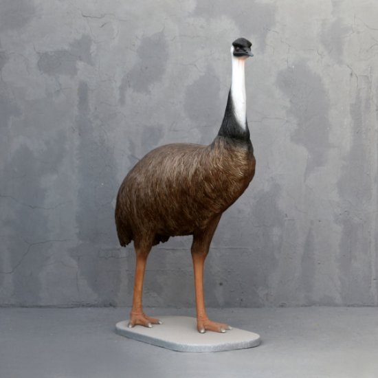 Bird Emu - Click Image to Close