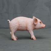 Standing pink piglet