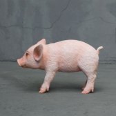 Standing pink piglet