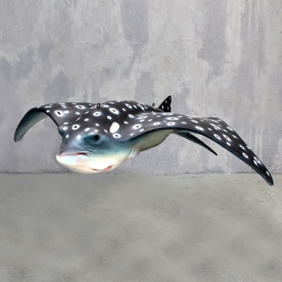 Spotted Eagle Ray - Click Image to Close