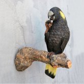 Cockatoo Black-Yellow statue Cockatoo Black-Yellow statue