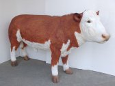 Hereford Bull (Brown-White Angus Bull) Hereford Bull (Brown-White Angus Bull)