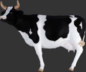 Cow Wall Decor Cow Wall Decor