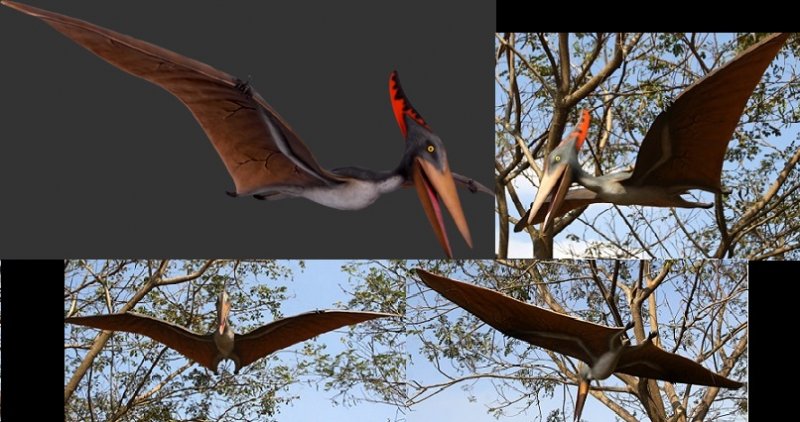 Pteranodon 10 Ft.