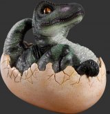 Baby T-Rex Hatching Baby T-Rex Hatching
