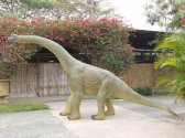 Baby Brachiosaurus Baby Brachiosaurus