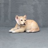Lion Cub Lying Lion Cub Lying