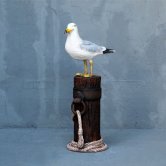 Seagull on Mooring Pole Seagull on Mooring Pole