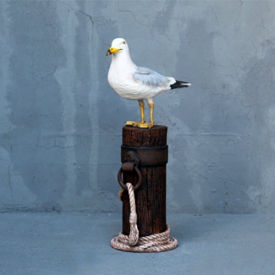 Seagull on Mooring Pole - Click Image to Close