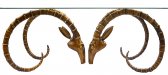 2 Skulls Deer Table (Small) 2 Skulls Deer Table (Small)