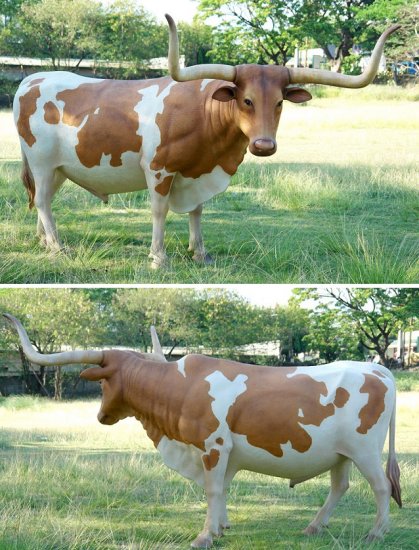 Texas Longhorn Steer - Click Image to Close