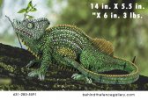 Veiled Chameleon Veiled Chameleon