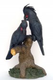 Black Palm Cockatoo Cover 2.5ft. / Fiberglass Black Palm Cockatoo Cover 2.5ft. / Fiberglass