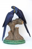 Hyacinth Macaw Lover 3ft. / Fiberglass Hyacinth Macaw Lover 3ft. / Fiberglass