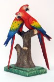 Scarlet Macaw Lover 3ft. / Fiberglass
