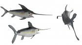Broadbill Swordfish / Fiberglass Broadbill Swordfish / Fiberglass