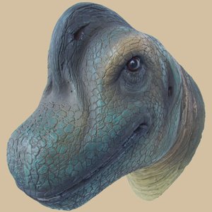 Brachiosaurus Head