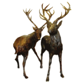 Bronze Elk ( each ) Bronze Elk ( each )
