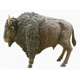 Bronze Bison Bronze Bison