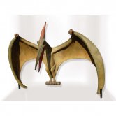 Pteranodon Pteranodon