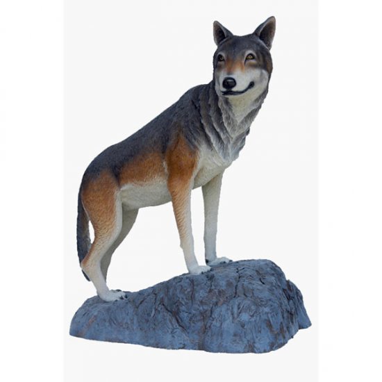 Wolf on Rock - Click Image to Close