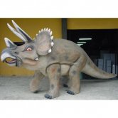 Triceratops 8ft.