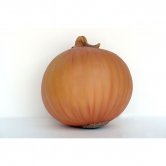 Onion Onion
