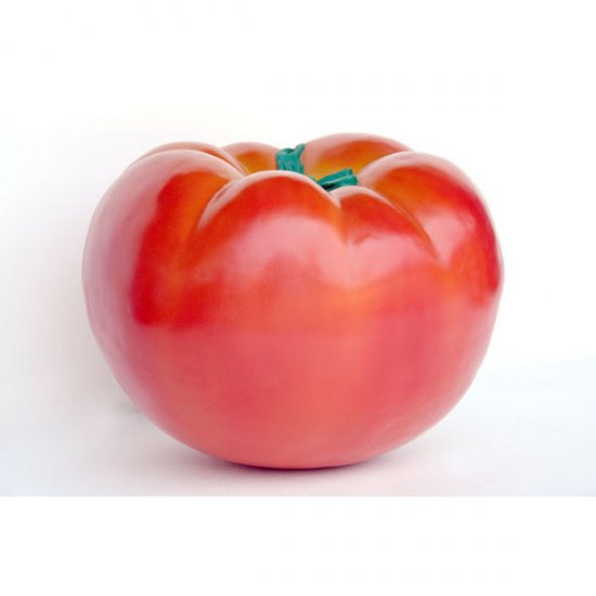 Tomato - Click Image to Close