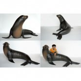 Sea Lion Sea Lion