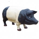 Cast Iron Pig Cast Iron Pig