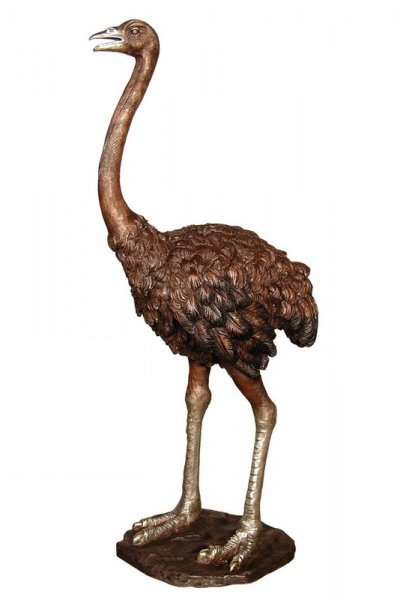 Bronze Standing Ostrich