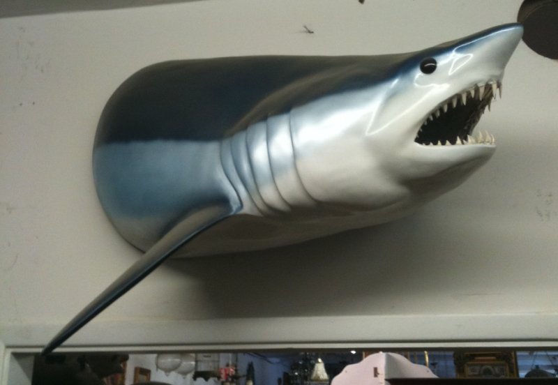 Taxidermy Shark